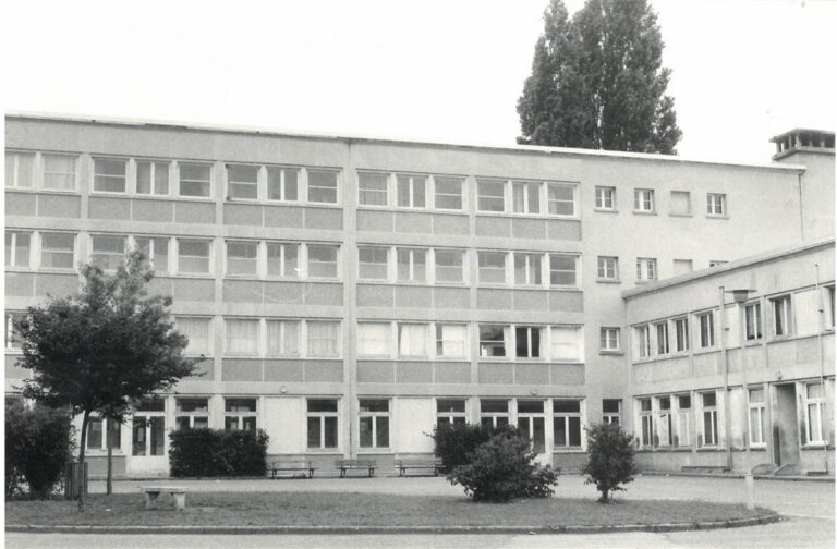 JDB à travers le temps 5