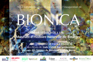 Projet Bionica