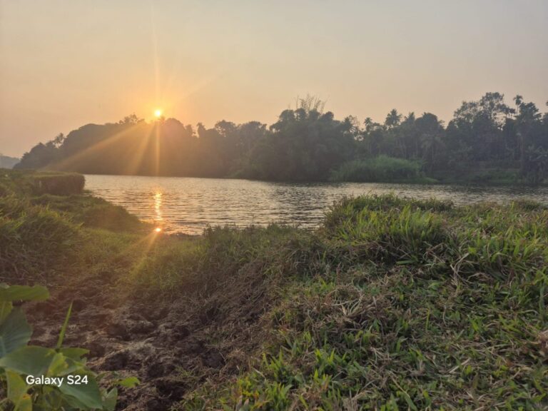 Voyage solidaire au Kerala