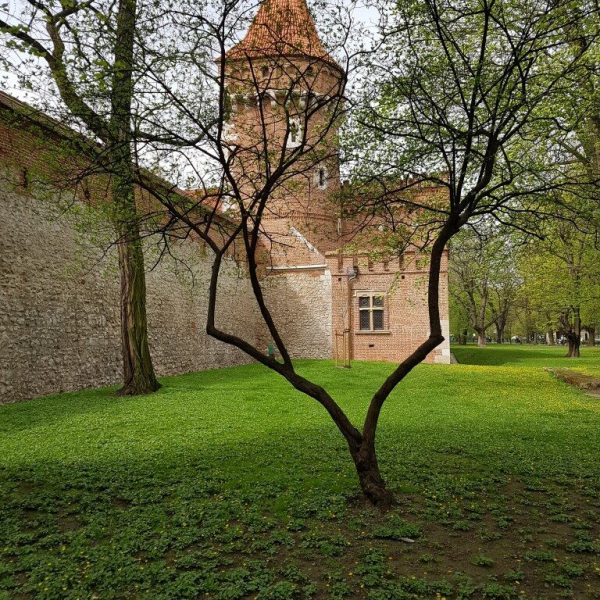 lycee-jean-de-berry-bourges-voyage-cracovie-4